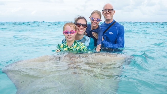 A family posing in the water with a stingray at Safehaven Marine in Grand Cayman A family posing in the water with a stingray at Safehaven Marine in Grand Cayman