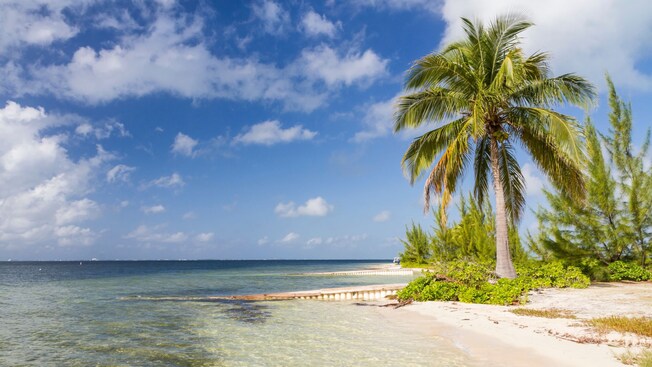 The shoreline of Starfish Point Beach at daytime