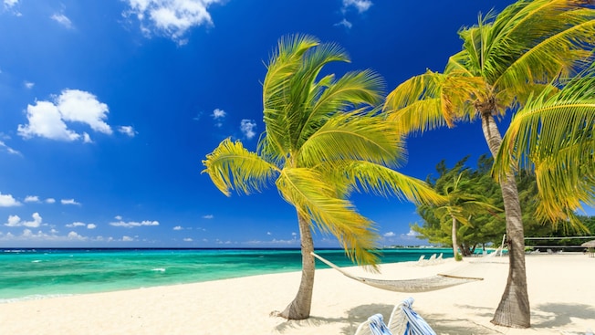 Uma praia em Grand Cayman com palmeiras, uma rede e espreguiçadeiras de frente para o Mar do Caribe Uma praia em Grand Cayman com palmeiras, uma rede e espreguiçadeiras de frente para o Mar do Caribe