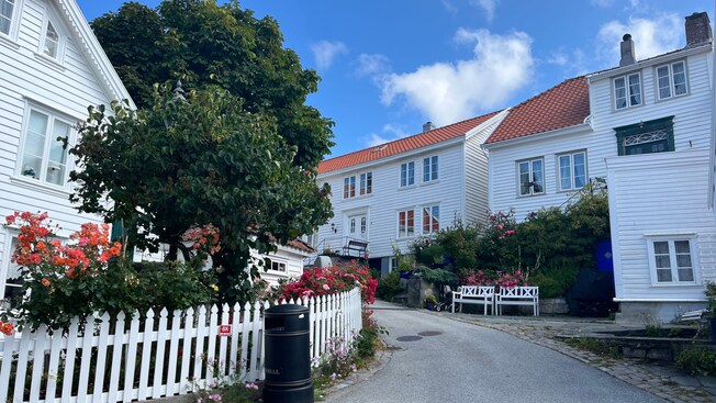 A quaint village street surrounded by buildings, trees and benches