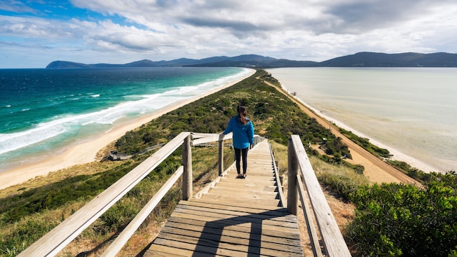 A boardwalk and wooden steps leading down to a verdant, sandy isthmus A boardwalk and wooden steps leading down to a verdant, sandy isthmus