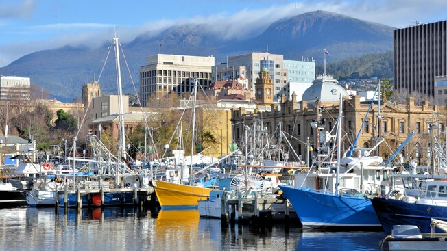 Sailboats docked in the harbor of Hobart Bay, Alaska with city buildings and a mountainous landscape