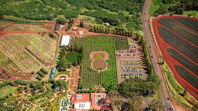 The sprawling plantation and pineapple shaped hedge maze at the Dole Pineapple Pavilion in Honolulu