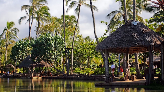 A lush tropical forest overlooking the water with palm trees and a thatched gazebo A lush tropical forest overlooking the water with palm trees and a thatched gazebo