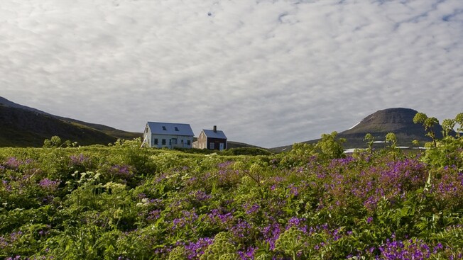 2 small houses in a countryside covered with flowers