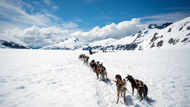 Equipos de trineo impulsado por perros con líderes humanos en un paisaje glacial de montaña