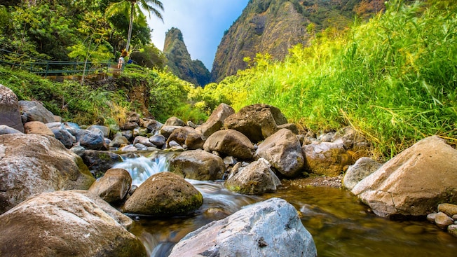 Un barranco rocoso en medio de un exuberante paisaje montañoso en Maui Un barranco rocoso en medio de un exuberante paisaje montañoso en Maui