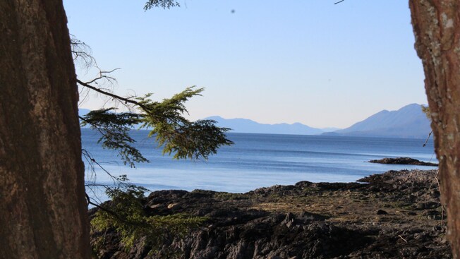 A forest ledge overlooking the water and mountains