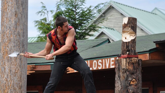 A lumberjack standing on a board suspended above the ground while chopping a tree trunk