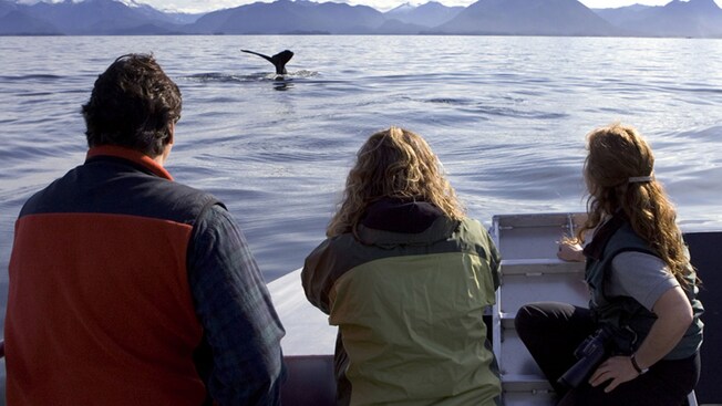 La cola de una ballena traspasa el agua mientras una familia observa desde un bote