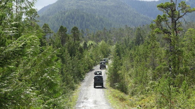 A group of UTVs driving on a dirt road surrounded by trees A group of UTVs driving on a dirt road surrounded by trees