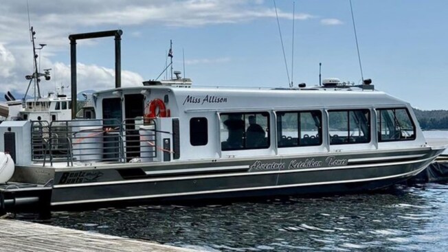 A cabin boat docked