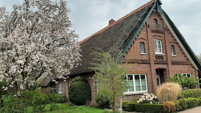 A building in Hamburg’s Altes Land beside a blooming tree A building in Hamburg’s Altes Land beside a blooming tree