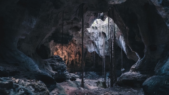 O interior de uma caverna revela videiras caindo em cascata de uma abertura iluminada pelo sol no topo O interior de uma caverna revela videiras caindo em cascata de uma abertura iluminada pelo sol no topo