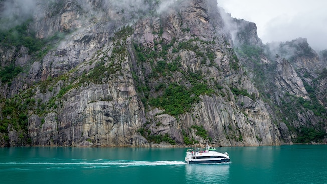 A tour boat sailing past a rocky cliff face, dotted with foliage A tour boat sailing past a rocky cliff face, dotted with foliage