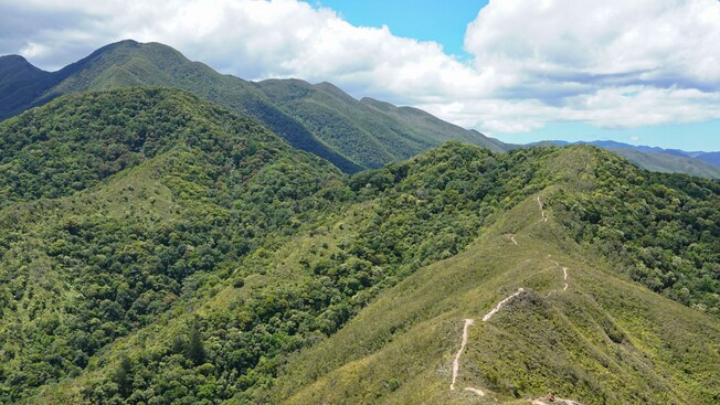 A verdant mountain range with a trail