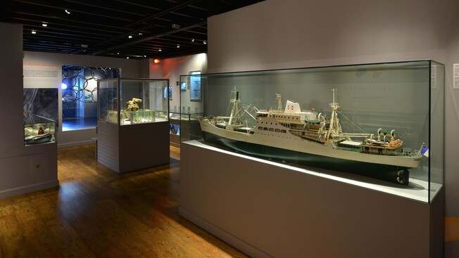 Vitrines com modelos de navios e artefatos no Museu Marítimo da Nova Caledônia