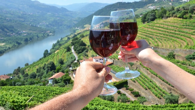 Duas taças de vinho erguidas para um brinde em frente a uma vista Duas taças de vinho erguidas para um brinde em frente a uma vista