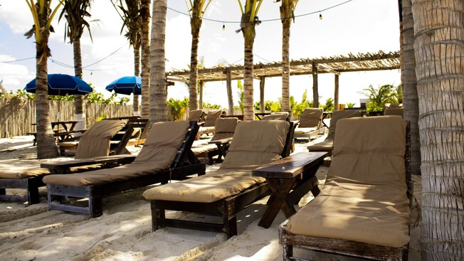 Long chairs under palm trees on the beach