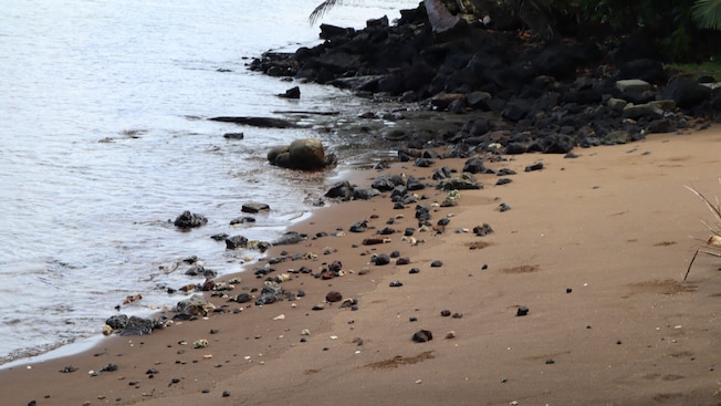Rocks near a sandy shoreline Rocks near a sandy shoreline