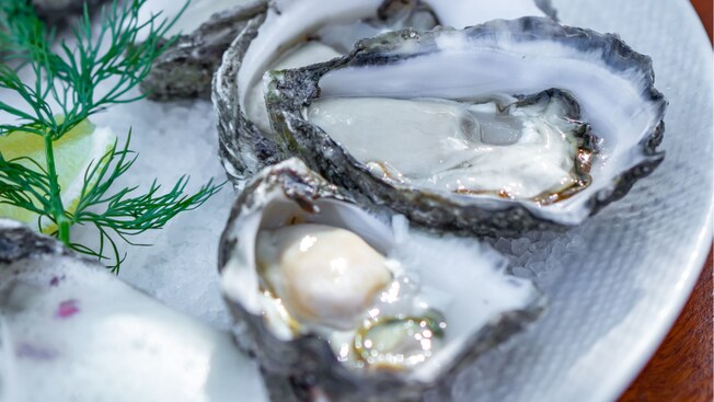 A plate of freshly shucked oysters