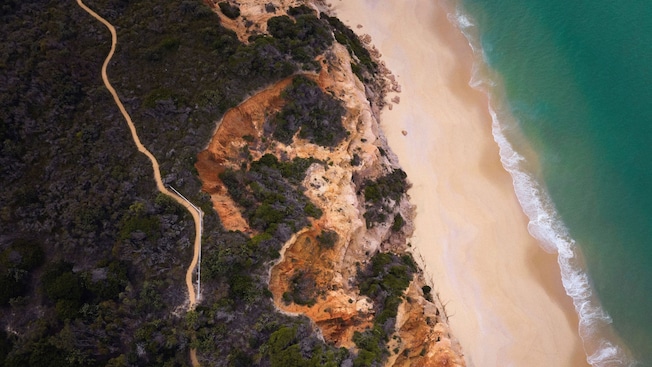 The Pinnacles Loop Walking Track in Eden, Australia with dense forest and a secluded beachfront The Pinnacles Loop Walking Track in Eden, Australia with dense forest and a secluded beachfront
