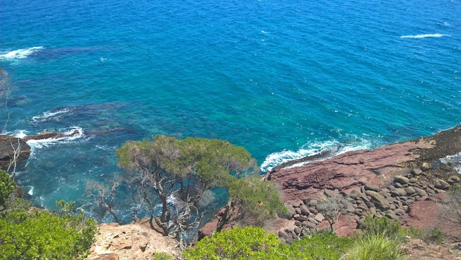 Uma costa com árvores e rochas no Parque Nacional Beowa em Eden, Nova Gales do Sul, Austrália Uma costa com árvores e rochas no Parque Nacional Beowa em Eden, Nova Gales do Sul, Austrália