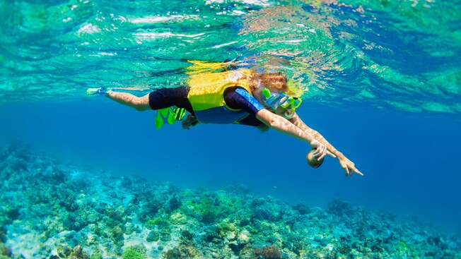 Two Guests exploring the underwater plants and animals at Champagne Reef in Roseau, Dominica