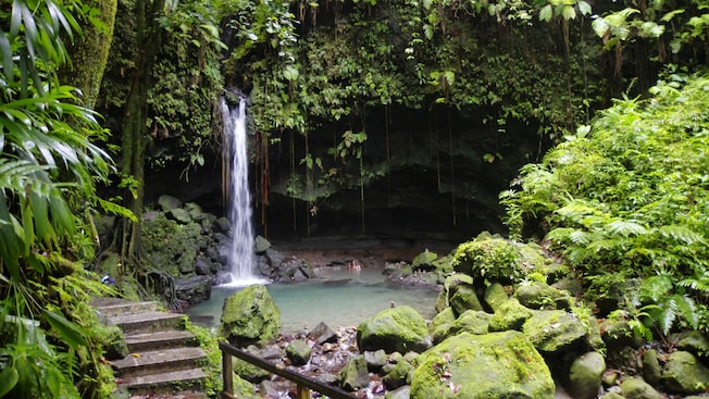 Emerald Pool, a waterfall in Roseau, Dominica Emerald Pool, a waterfall in Roseau, Dominica