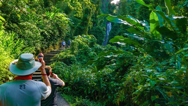 Los visitantes suben una escalera bordeada por una frondosa vegetación que lleva a las cascadas Trafalgar, en Dominica
