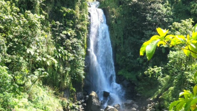 Trafalgar Falls surrounded by lush rainforest