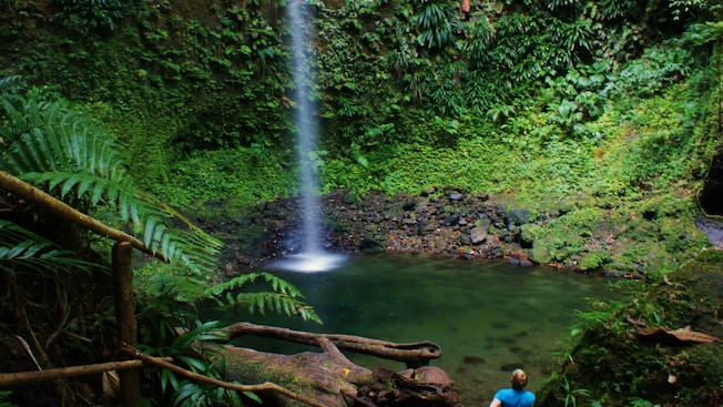 A person admiring Twin Falls in Dominica A person admiring Twin Falls in Dominica
