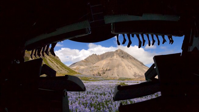 A virtual flight ride experience with a screen showing a mountain landscape with flowers in Iceland