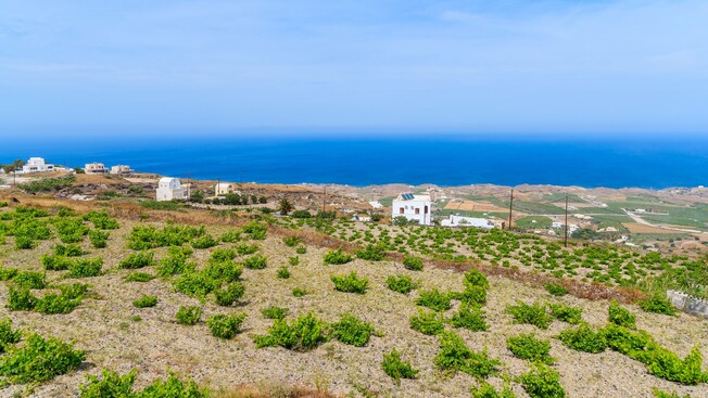 Farmland overlooking the water in Santorini, Greece