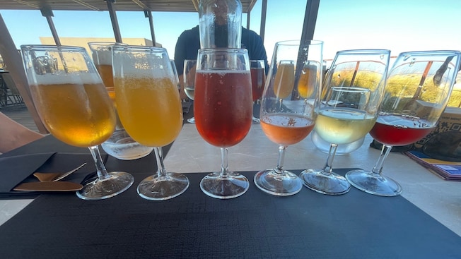 6 glasses filled with a variety of beers and wines 6 glasses filled with a variety of beers and wines