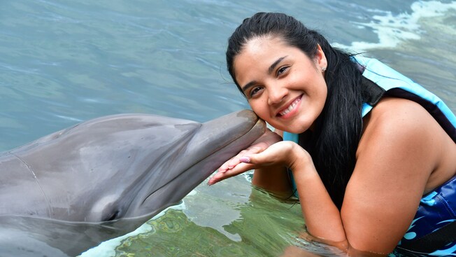 A woman in a life vest posing while being kissed on the cheek by a dolphin in Saint Kitts