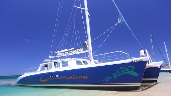 A catamaran resting on a sandy shoreline A catamaran resting on a sandy shoreline