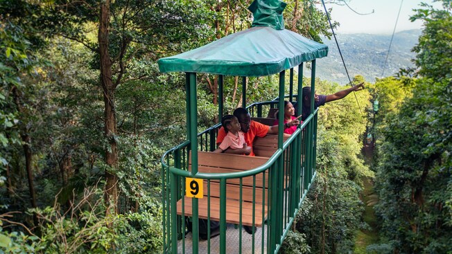A group of people spotting wildlife in an open air gondola in a rainforest in Saint Lucia