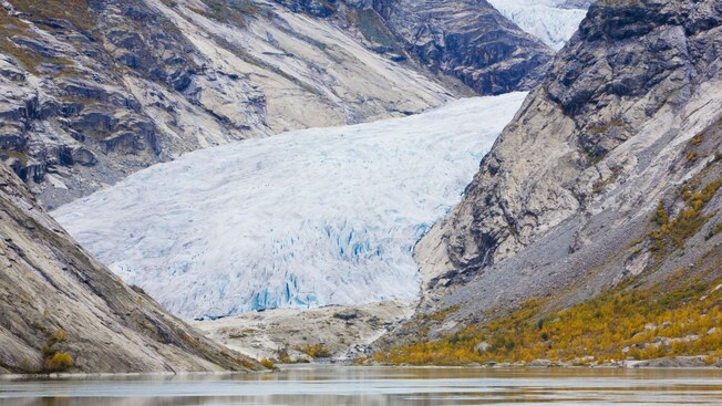 A large glacier carves its ways through a rocky landmass to a body of water