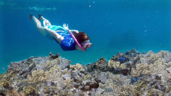 A woman snorkeling above a coral reef
