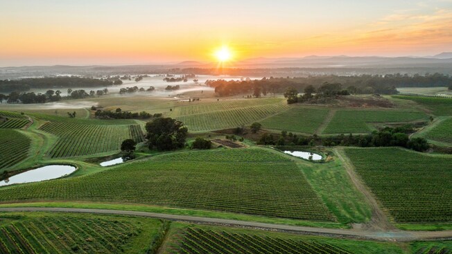 Sunrise and fog over Mount View, Hunter Valley