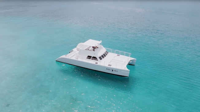A catamaran coasts along pristine waters A catamaran coasts along pristine waters