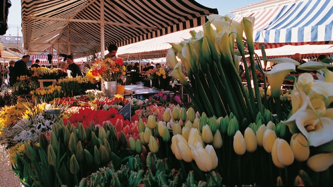 A flower market featuring tulips and lilies A flower market featuring tulips and lilies