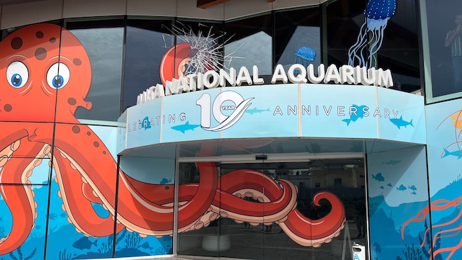 An entryway to a museum with a cartoon octopus painted near the door and text that reads ‘Malta National Aquarium’ An entryway to a museum with a cartoon octopus painted near the door and text that reads ‘Malta National Aquarium’