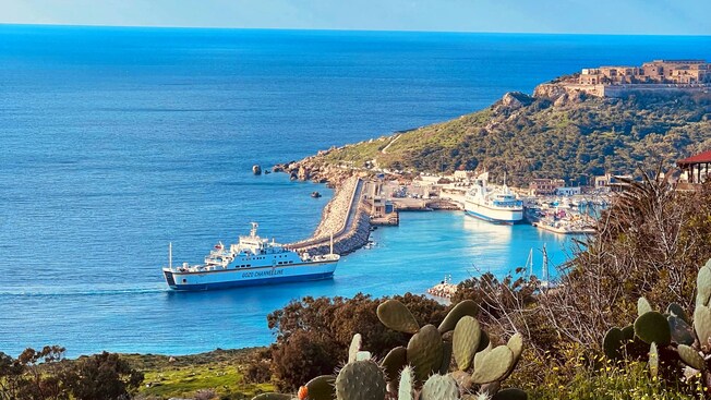 A hill with cactus on it overlooks a large ship in a harbor