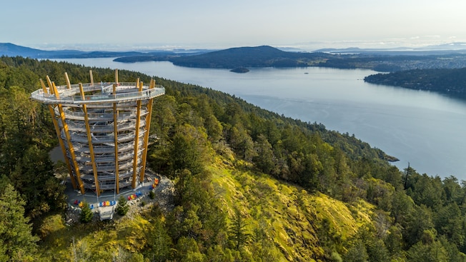 A tall and circular structure standing over the trees of a forest in Victoria, British Columbia A tall and circular structure standing over the trees of a forest in Victoria, British Columbia
