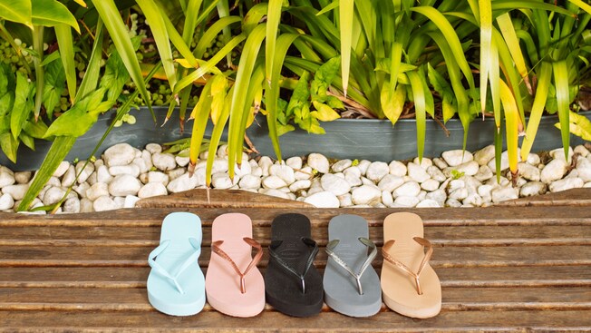 Five flip flops resting on a wooden slab near large bushes