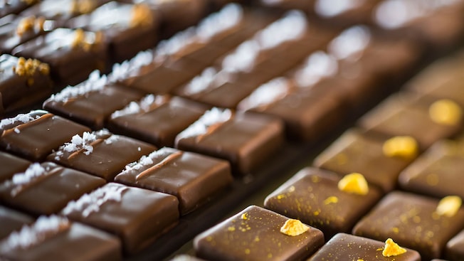 Several rows of chocolate ganache squares