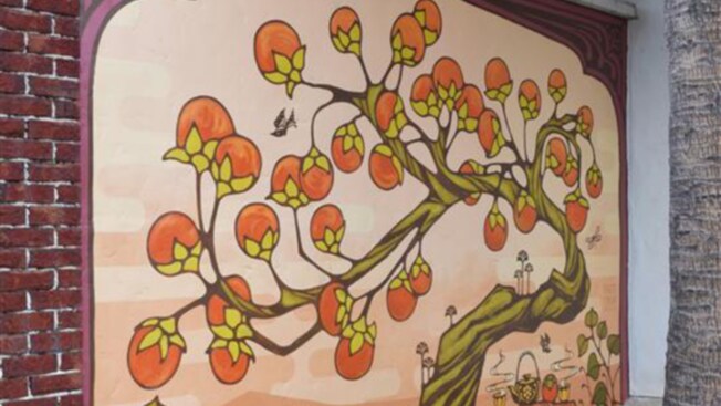 An outdoor mural of a whimsical tree full of oranges