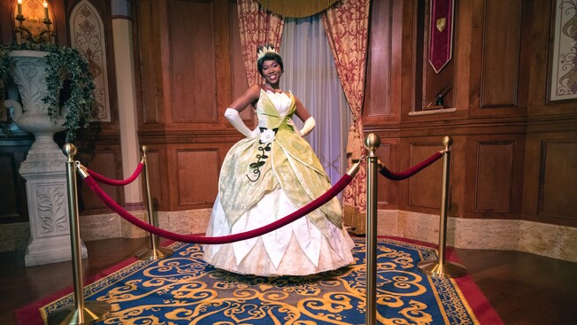 Princess Tiana stands in a stately room behind velvet ropes